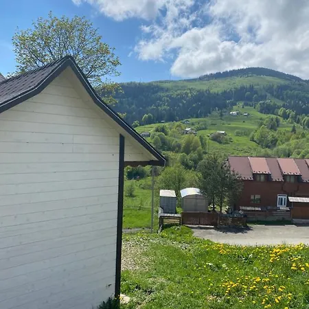 «кришталь» * Krivorovnya