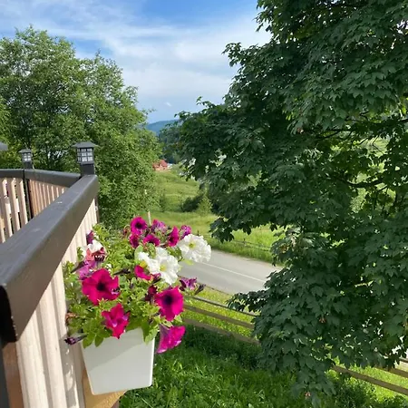 «кришталь» Apartment Krivorovnya