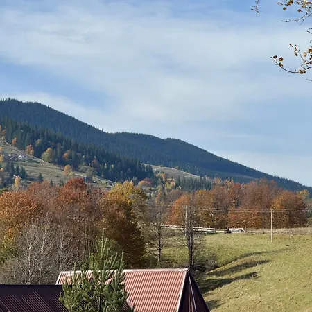 «кришталь» *