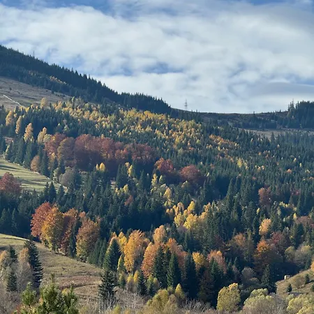 «кришталь» * Krivorovnya