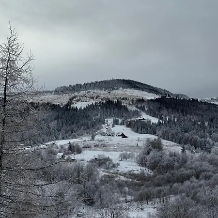 Apartment «кришталь» *
